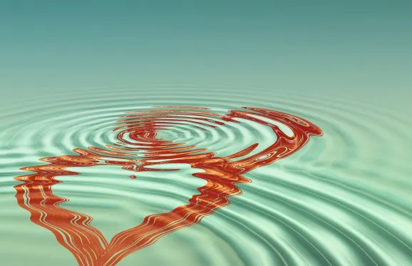 Rajbet Casino Suporte